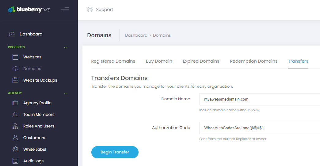 Transfer domain screenshot